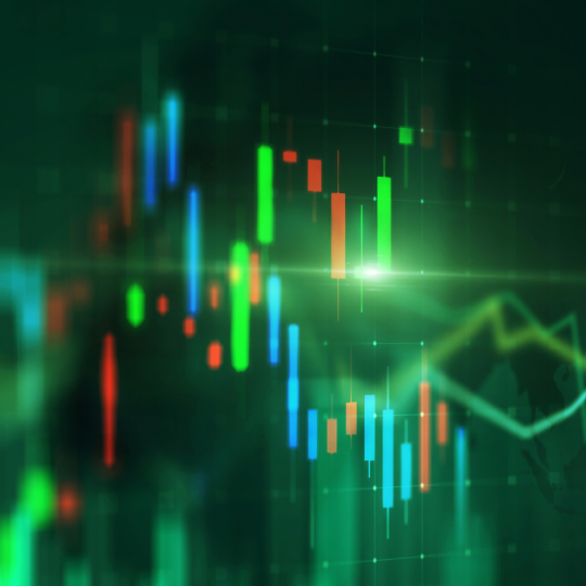 To Our Investors