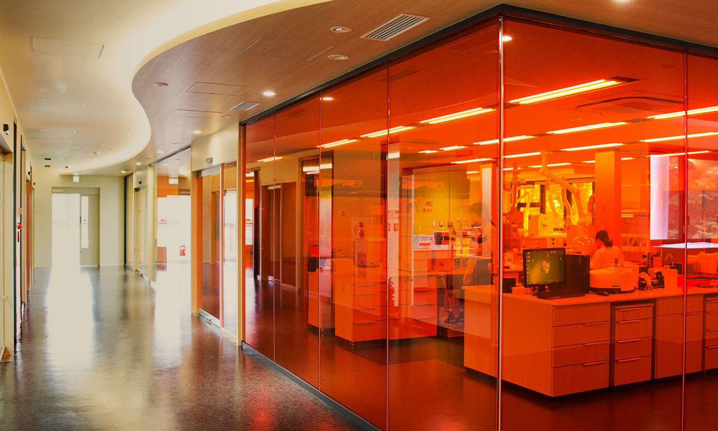 Completion of technologically advanced Ranzan Lab:<br>Strengthening new business creation and personnel development