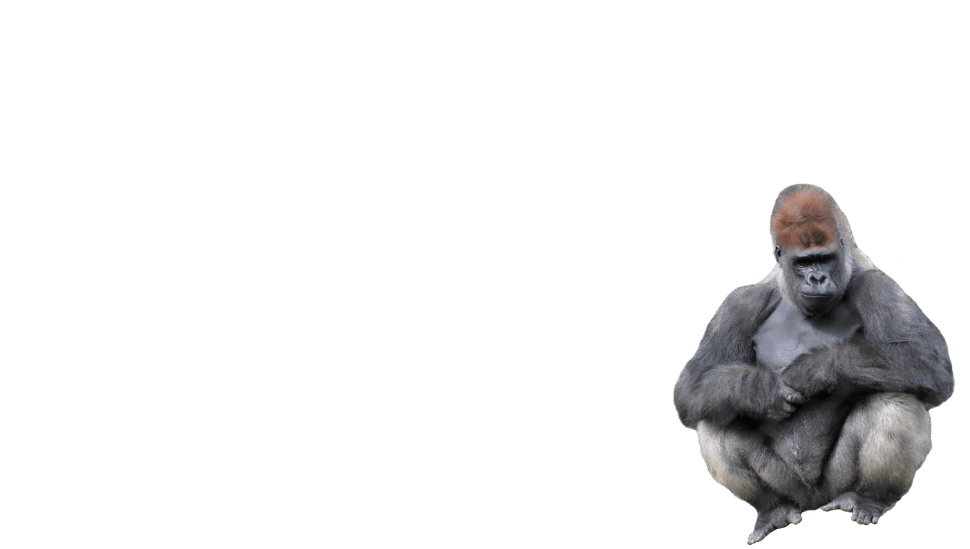 1976