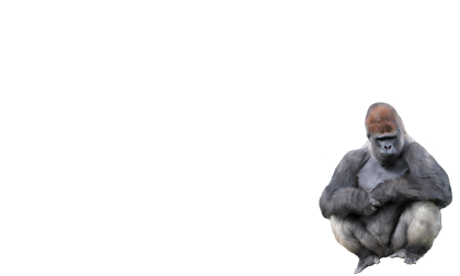1976