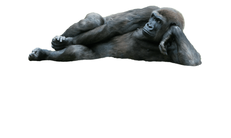2,900