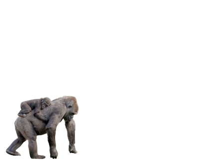 83.3
