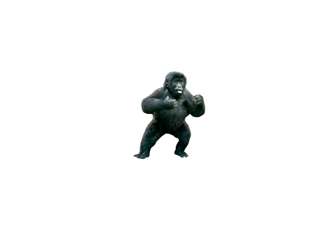 No.1